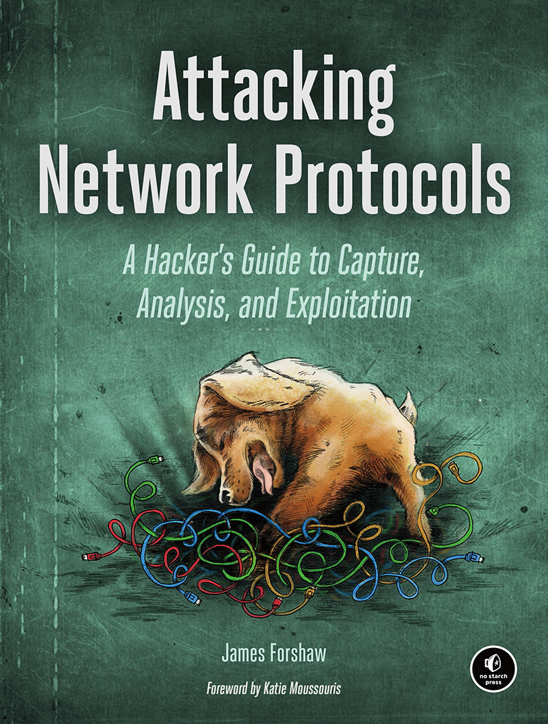 Attacking Network Protocols 997814920675049