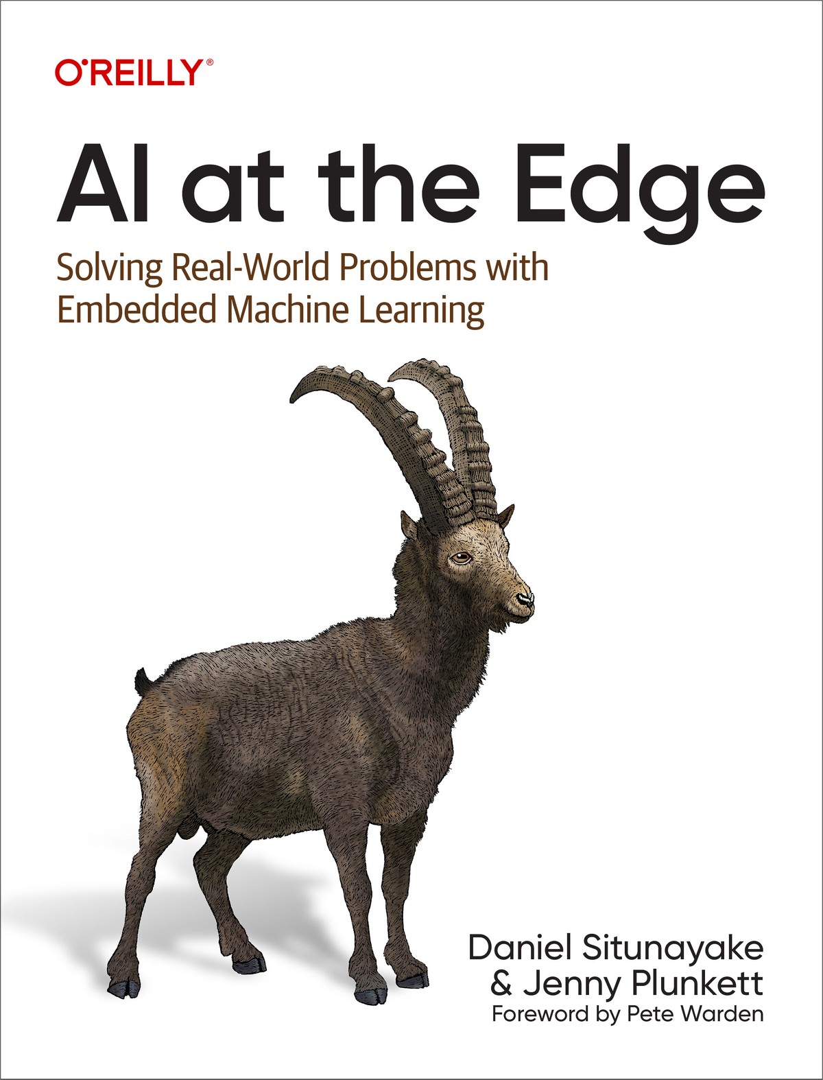 AI at the Edge-9781098120191