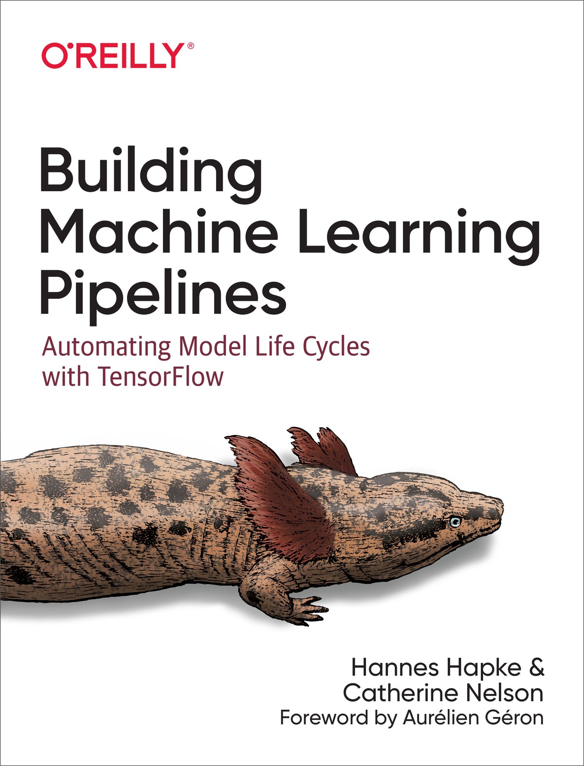 Building Machine Learning Pipelines 997814920531879