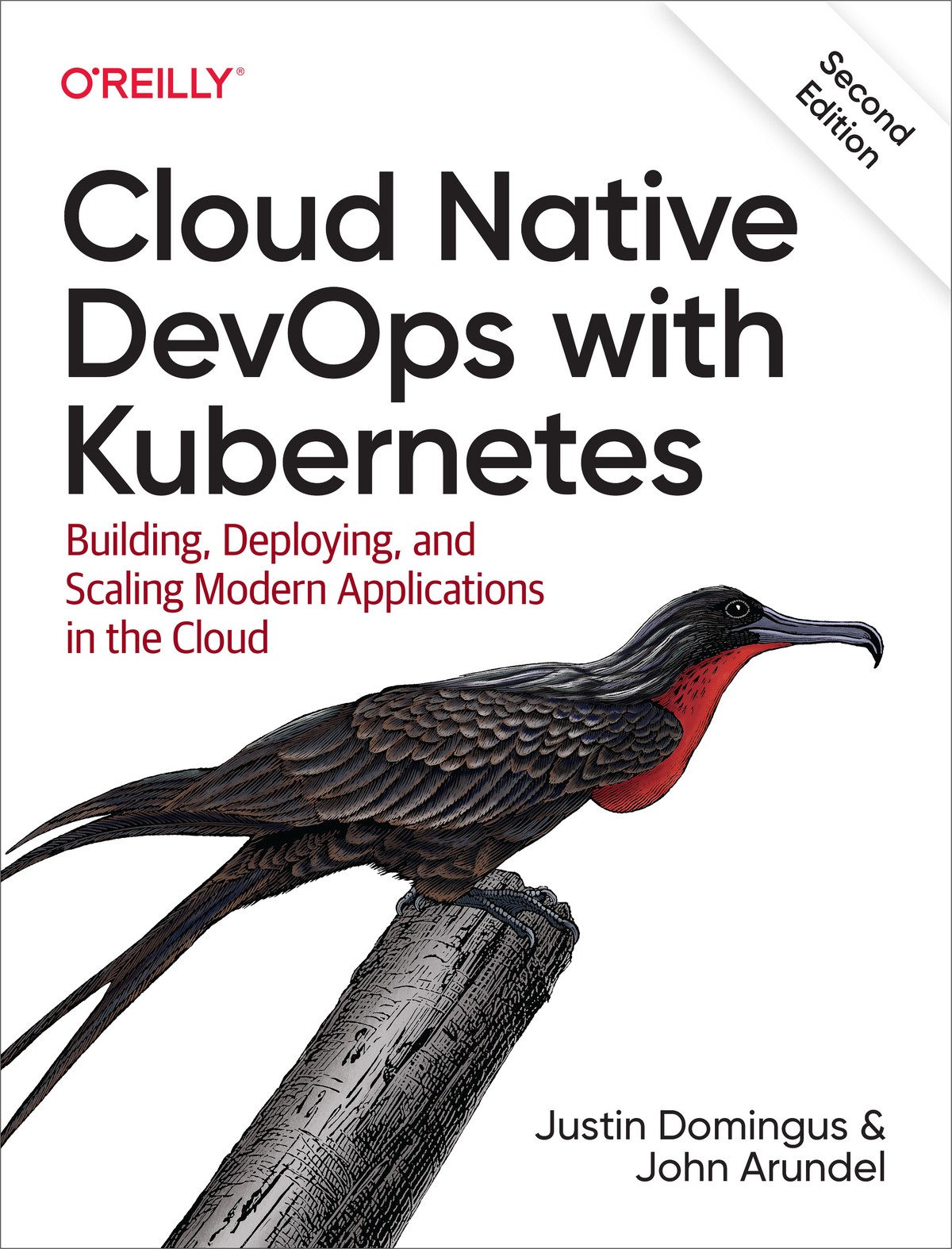 Cloud Native DevOps with Kubernetes 2nd Edition 997810981168119