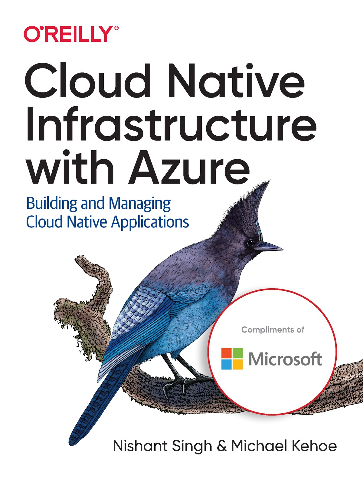 Cloud Native Infrastructure with Azure 997814920909539