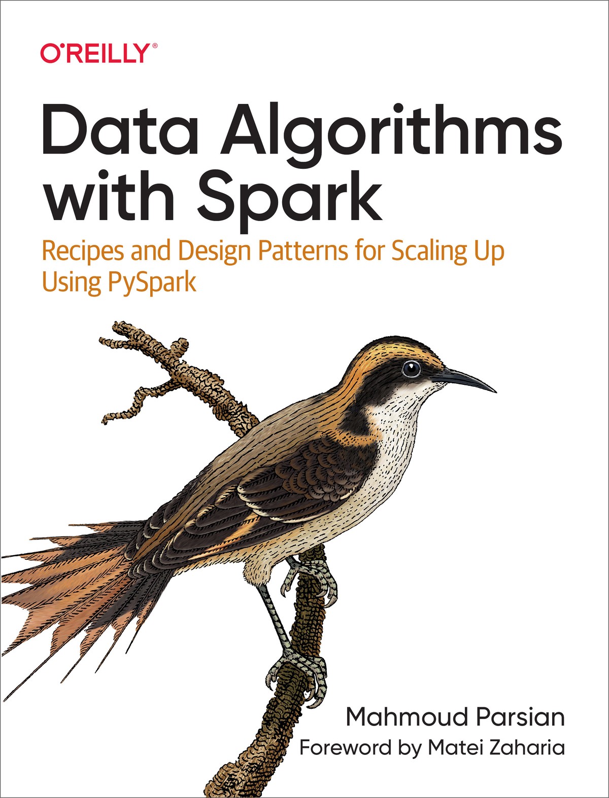 Data Algorithms with Spark 997814920823789