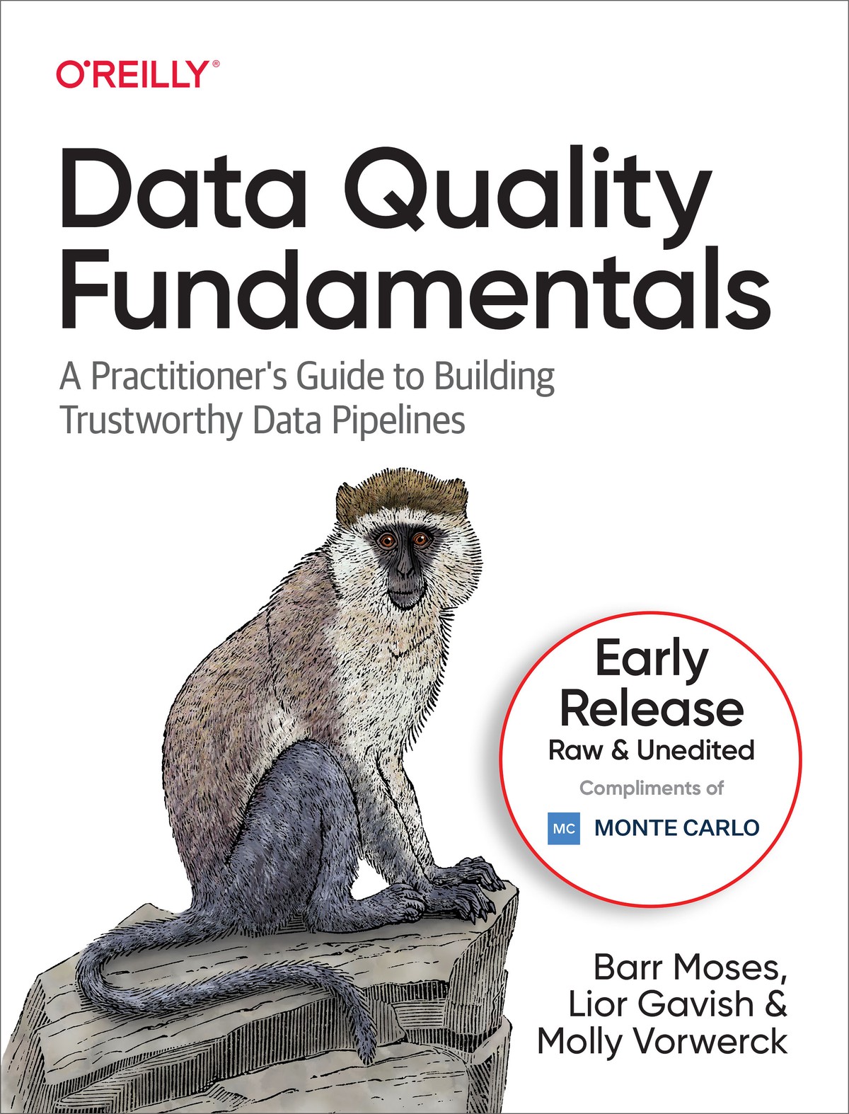 Data Quality Fundamentals 997810981120359