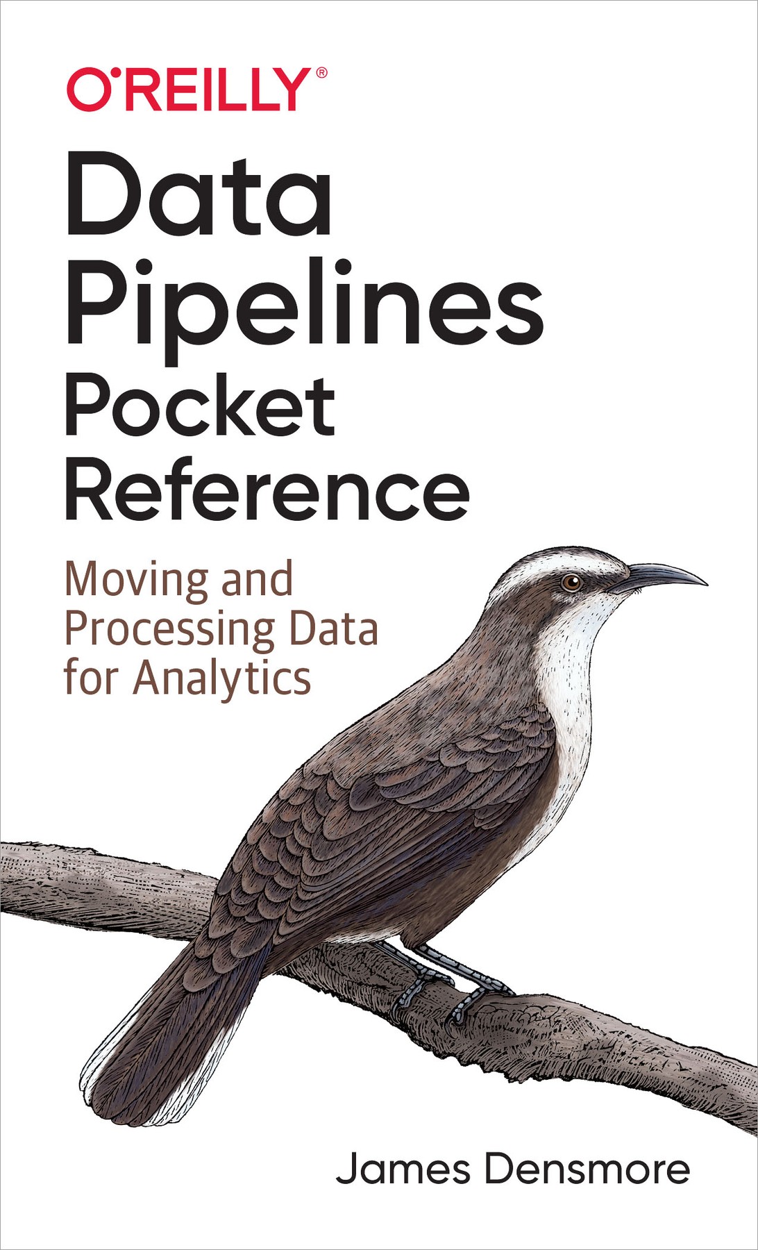 Data Pipelines Pocket Reference 997814920878239
