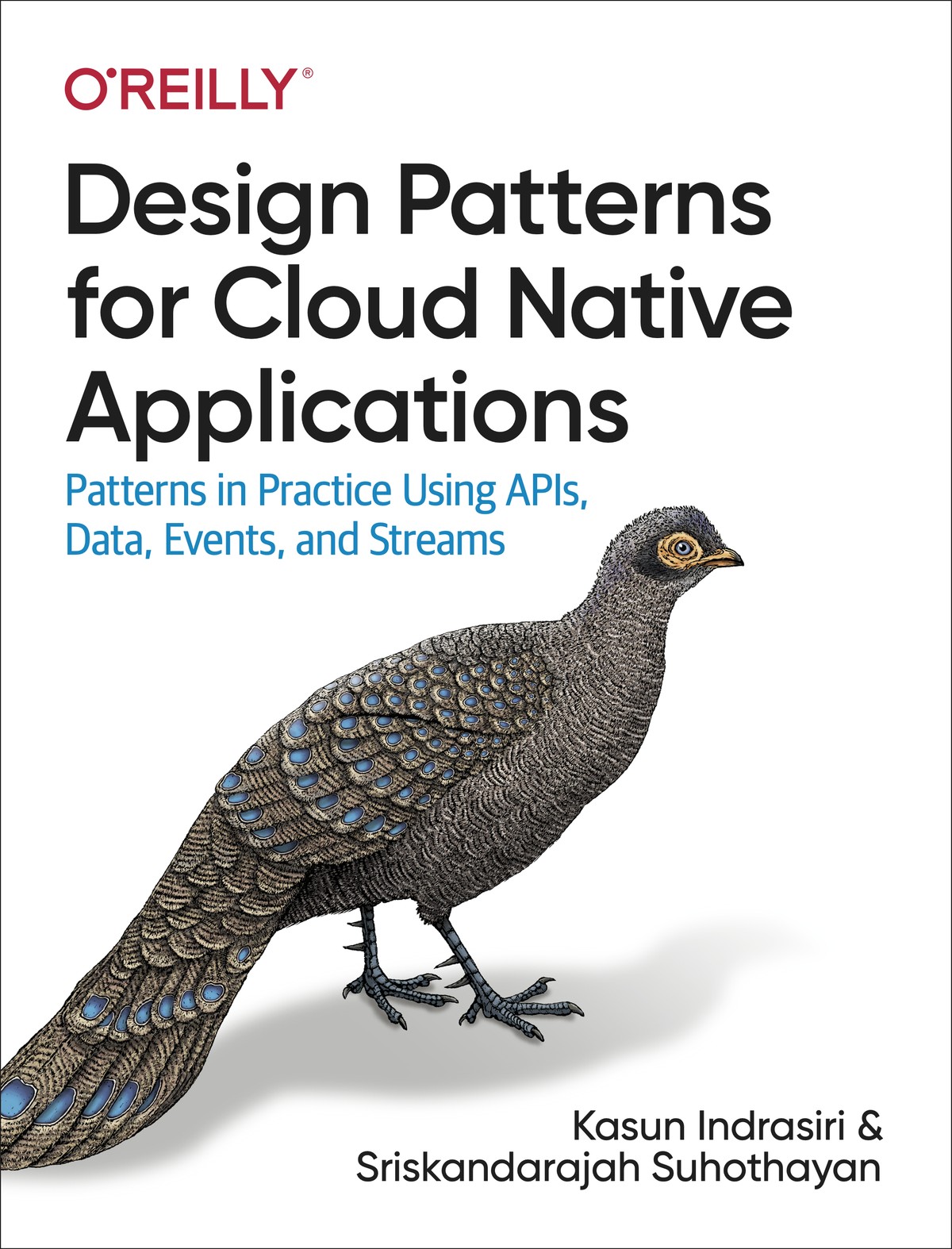 Design Patterns for Cloud Native Applications 997814920907009