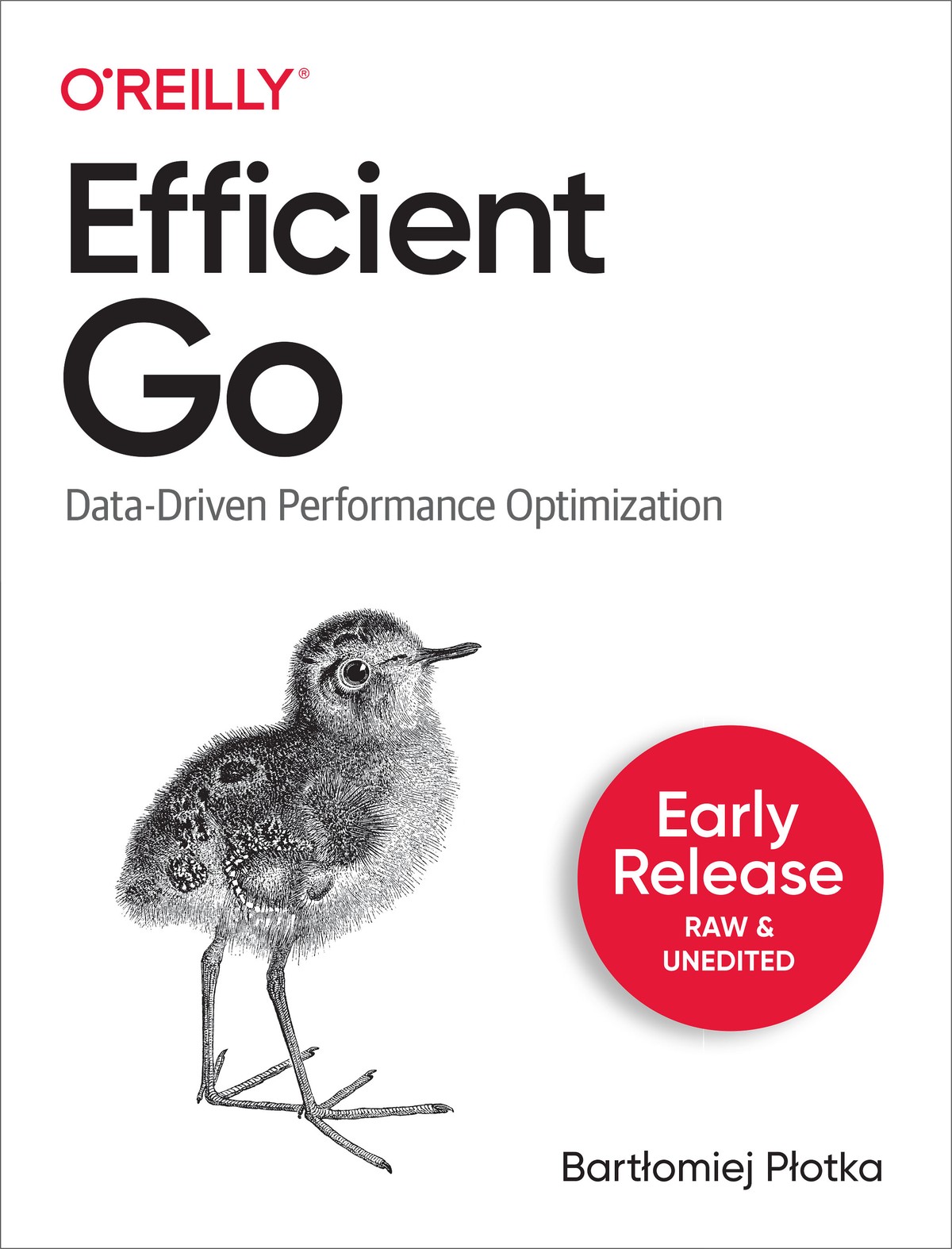 Efficient Go 997810981057099