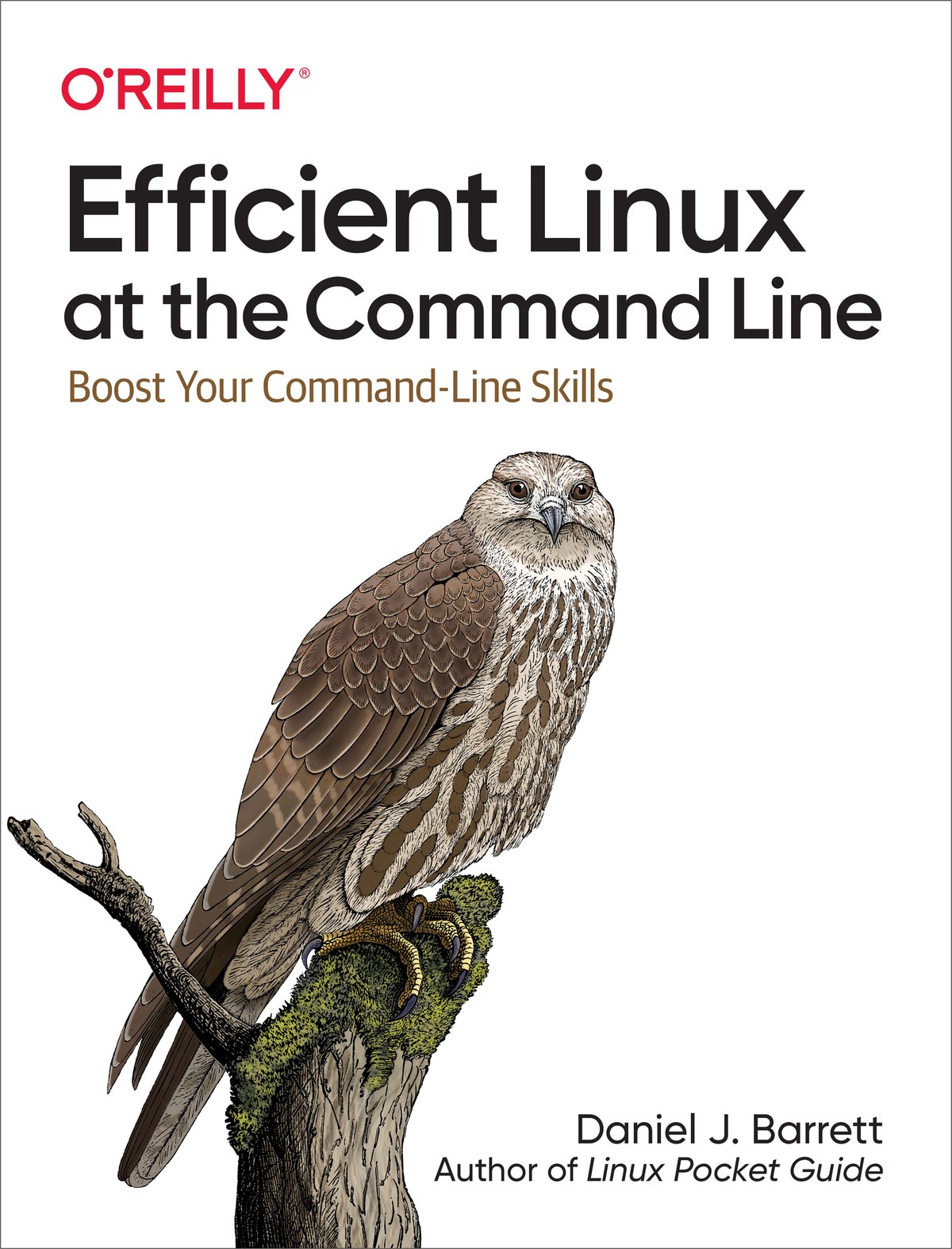 Efficient Linux at the Command Line 997810981133919