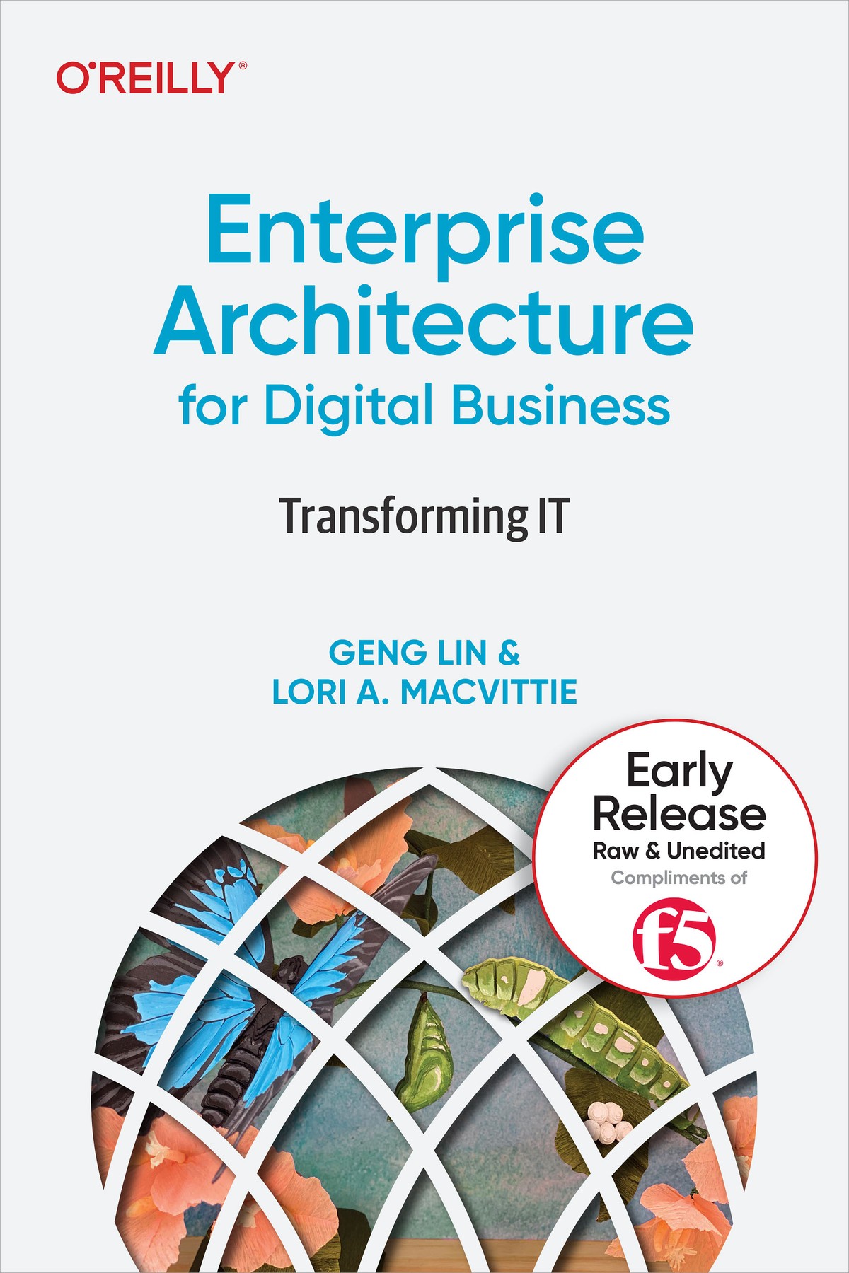 Enterprise Architecture for Digital Business 997810981214409