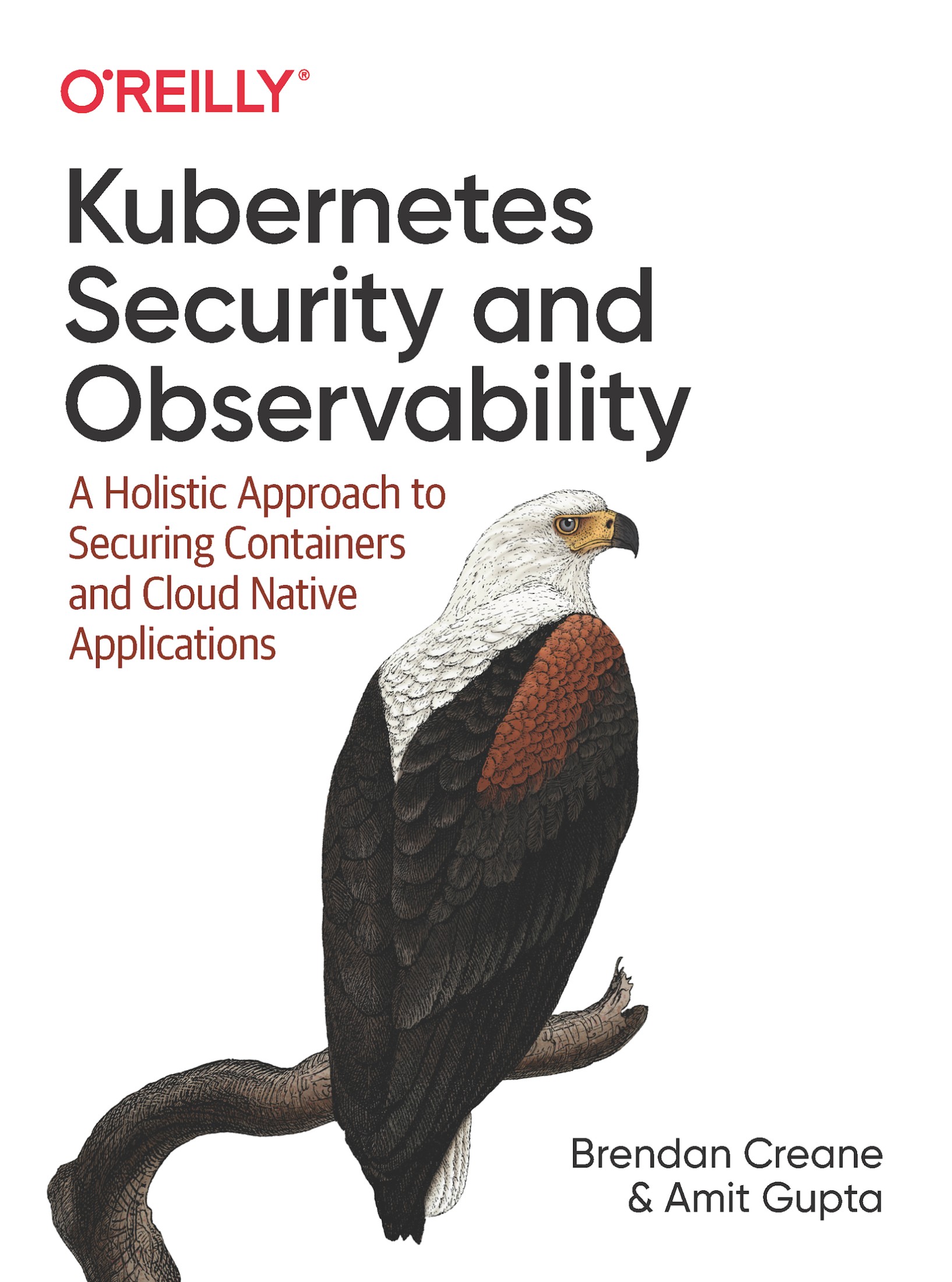 Kubernetes Security and Observability 997810981070939