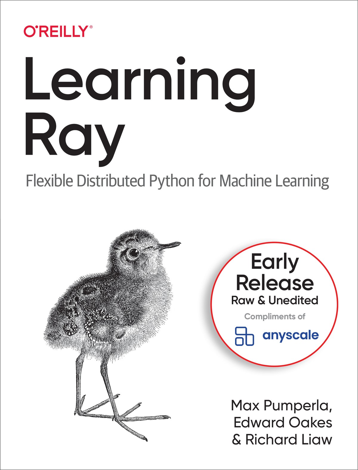 Learning Ray 997810981172149