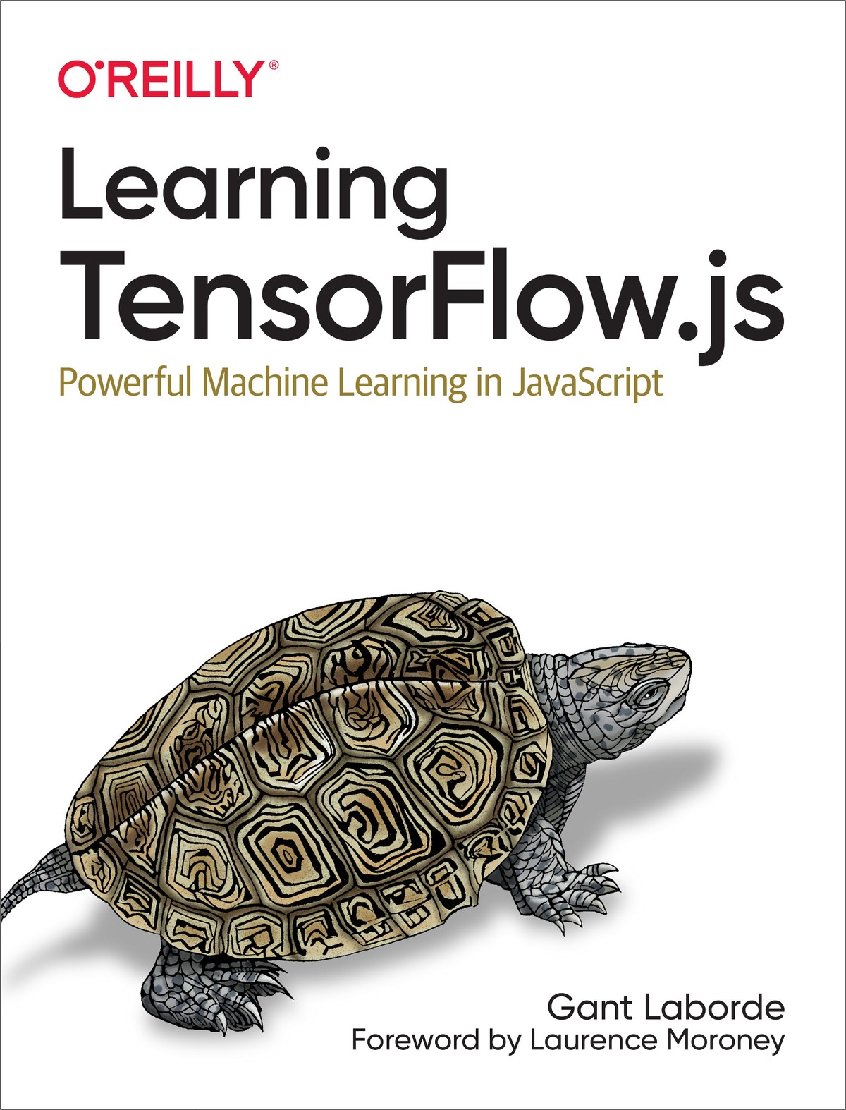 Learning TensorFlow.js 997814920907869