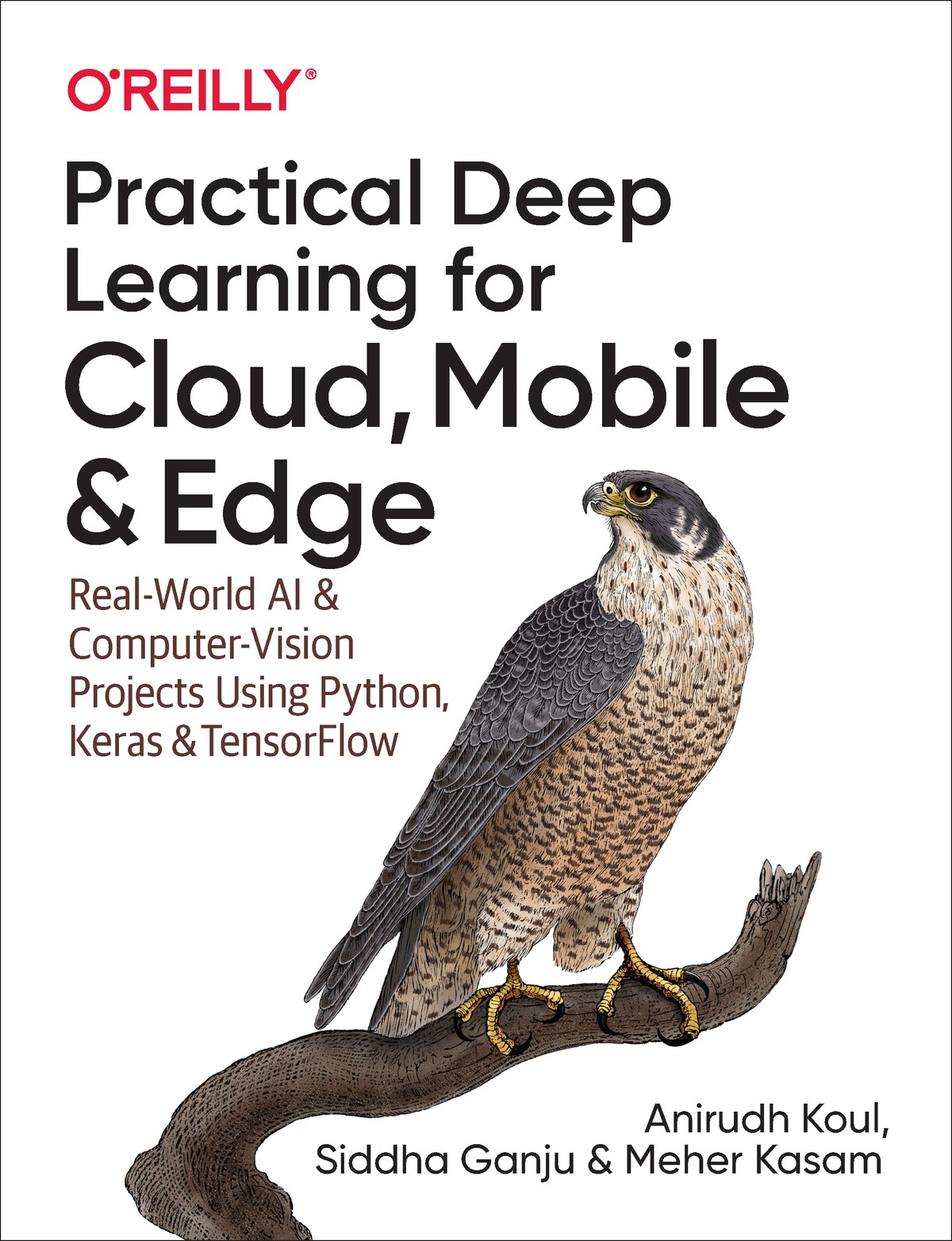 Practical Deep Learning for Cloud Mobile 997814920348589