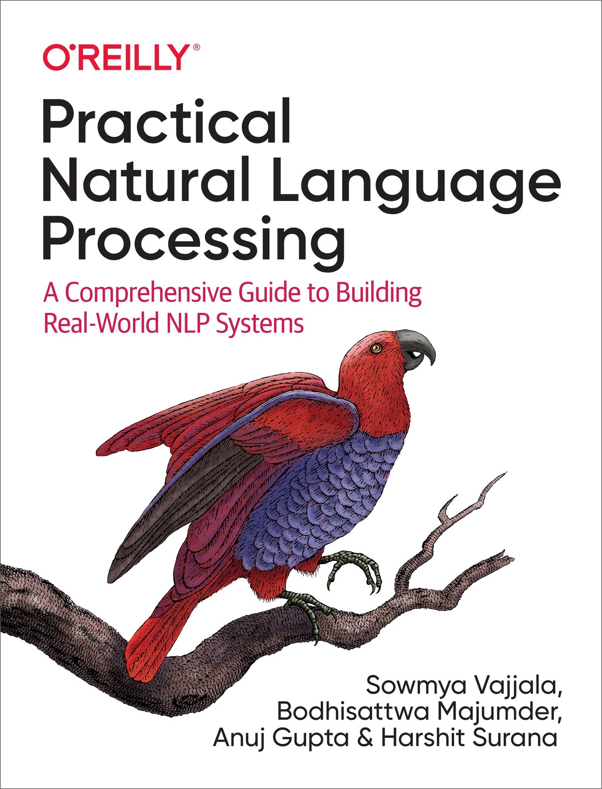 Practical Natural Language Processing 997814920540479
