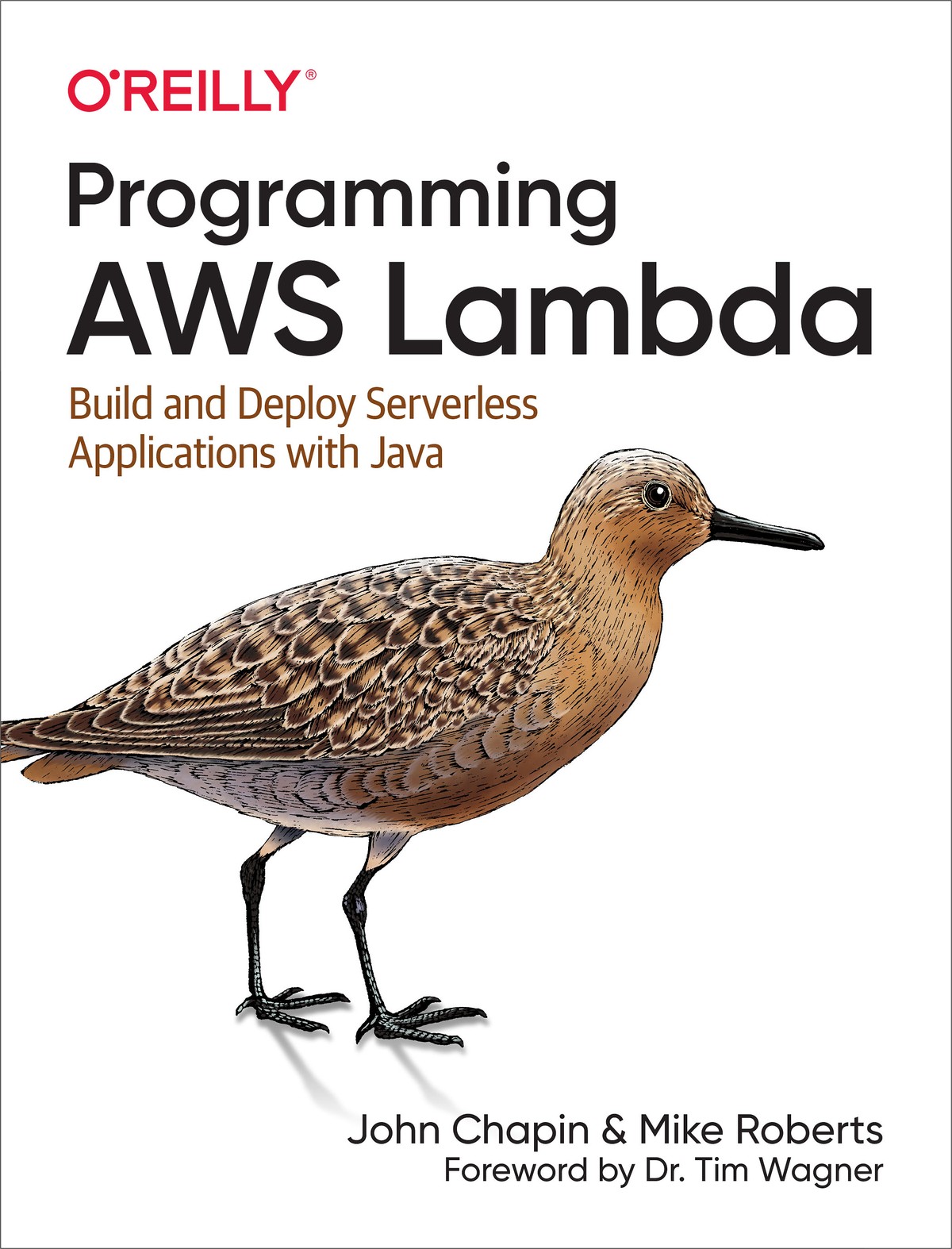 Programming AWS Lambda 997814920410479