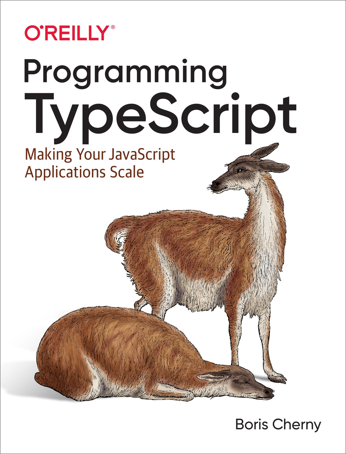 Programming TypeScript 997814920376449