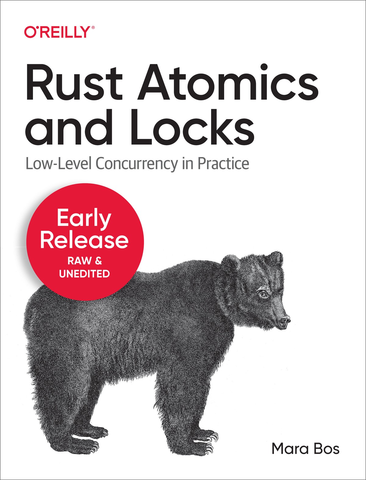 Rust Atomics and Locks 997810981194309