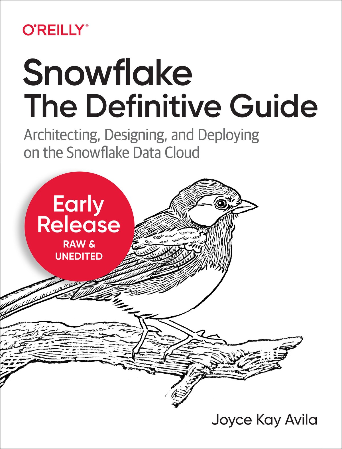 Snowflake The Definitive Guide 997810981038119