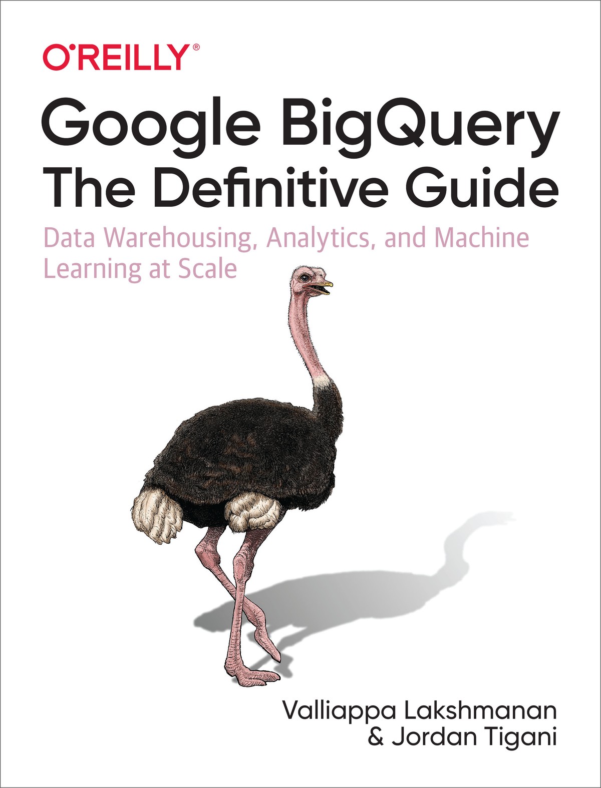 Google BigQuery The Definitive Guide 997814920444519