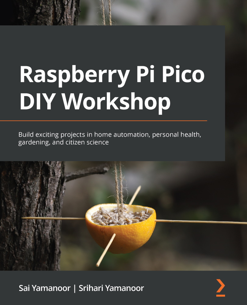Raspberry Pi Pico DIY Workshop (for huasong du)