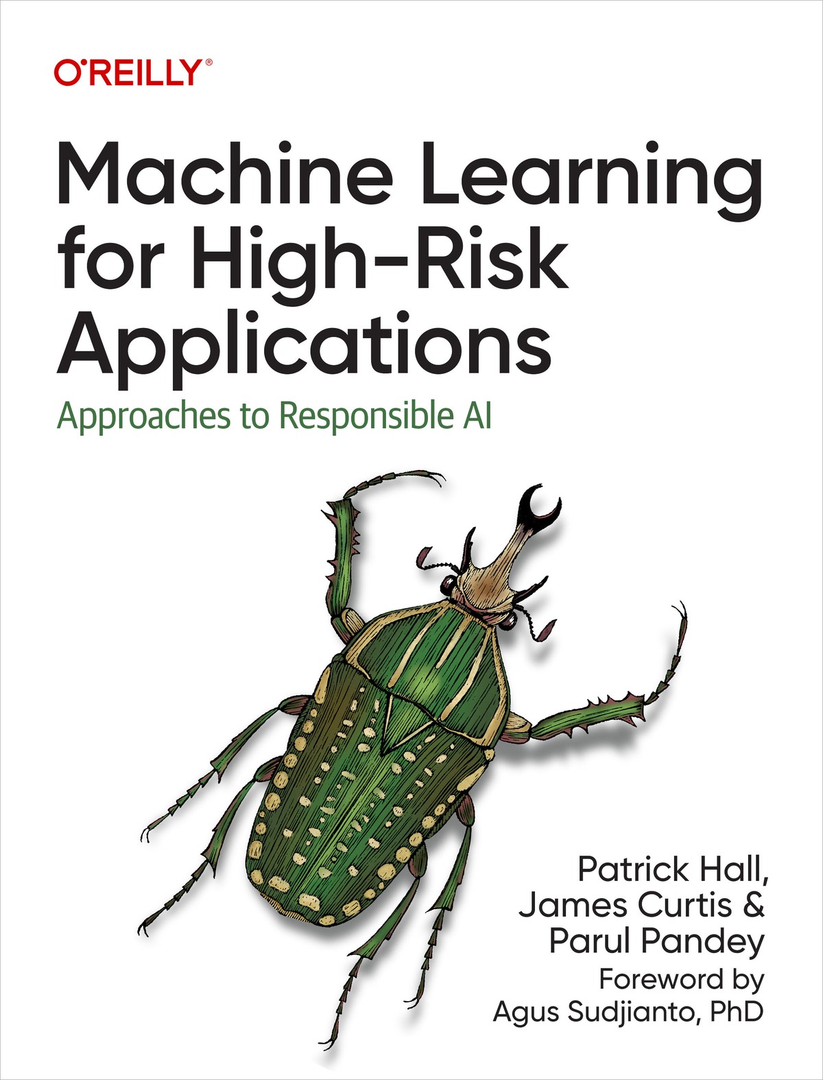 Machine Learning for High-Risk Applications-9781098102425