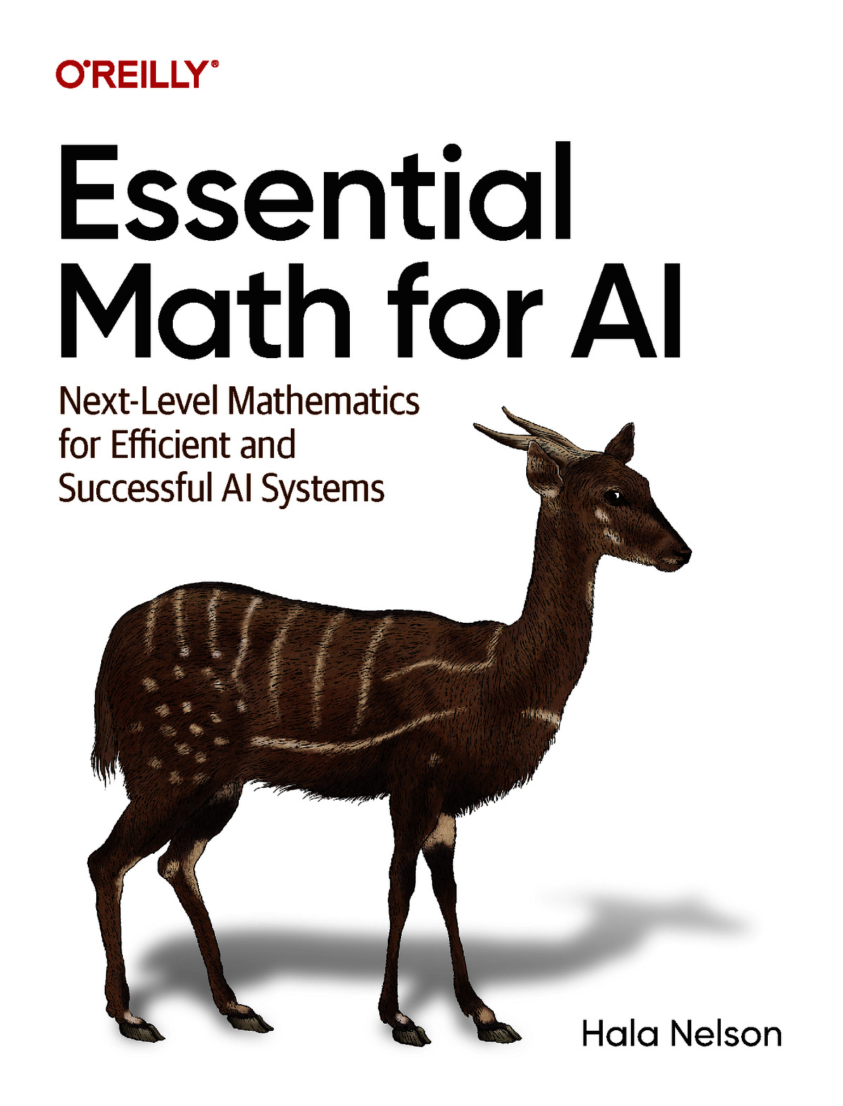Essential Math for AI (for huasong du)