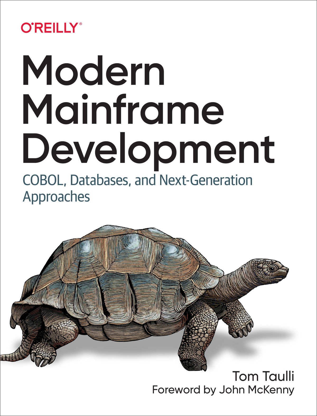 Modern Mainframe Development 997810981070179
