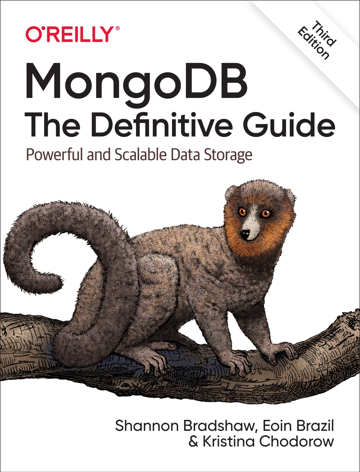 MongoDB The Definitive Guide 997814919544549