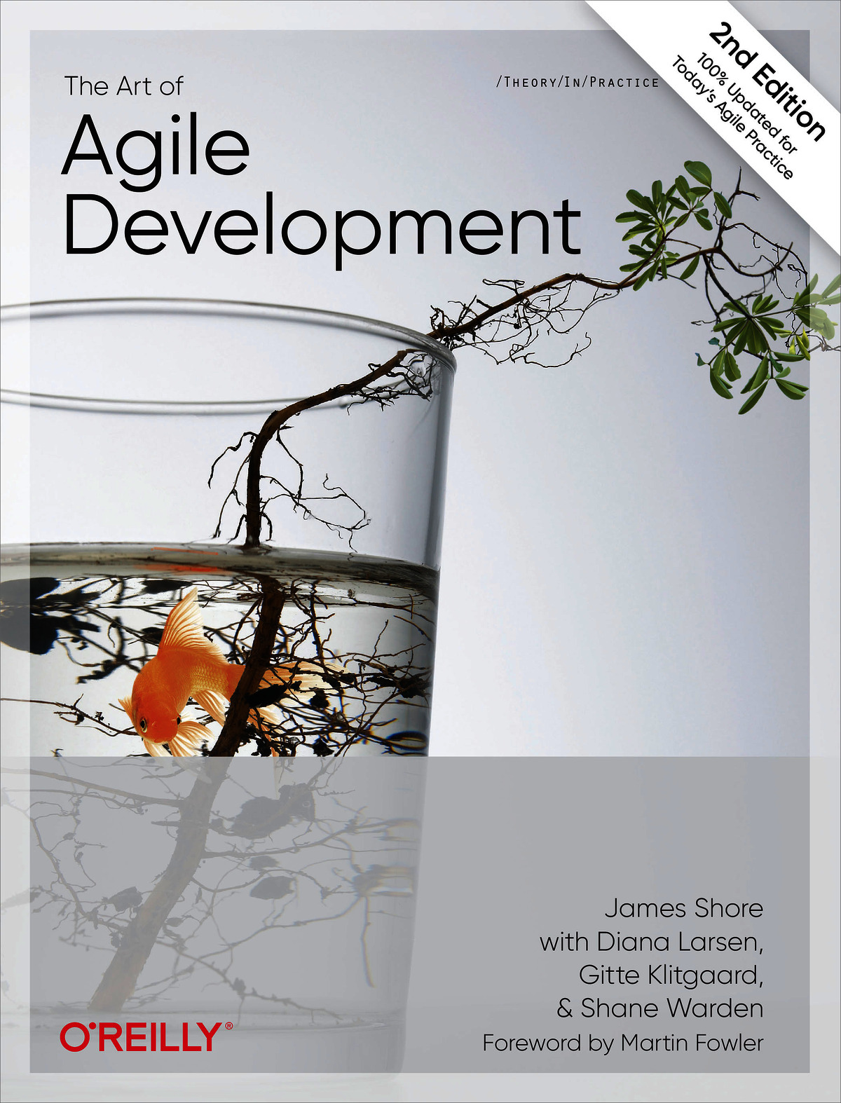The Art of Agile Development, 2nd Edition
