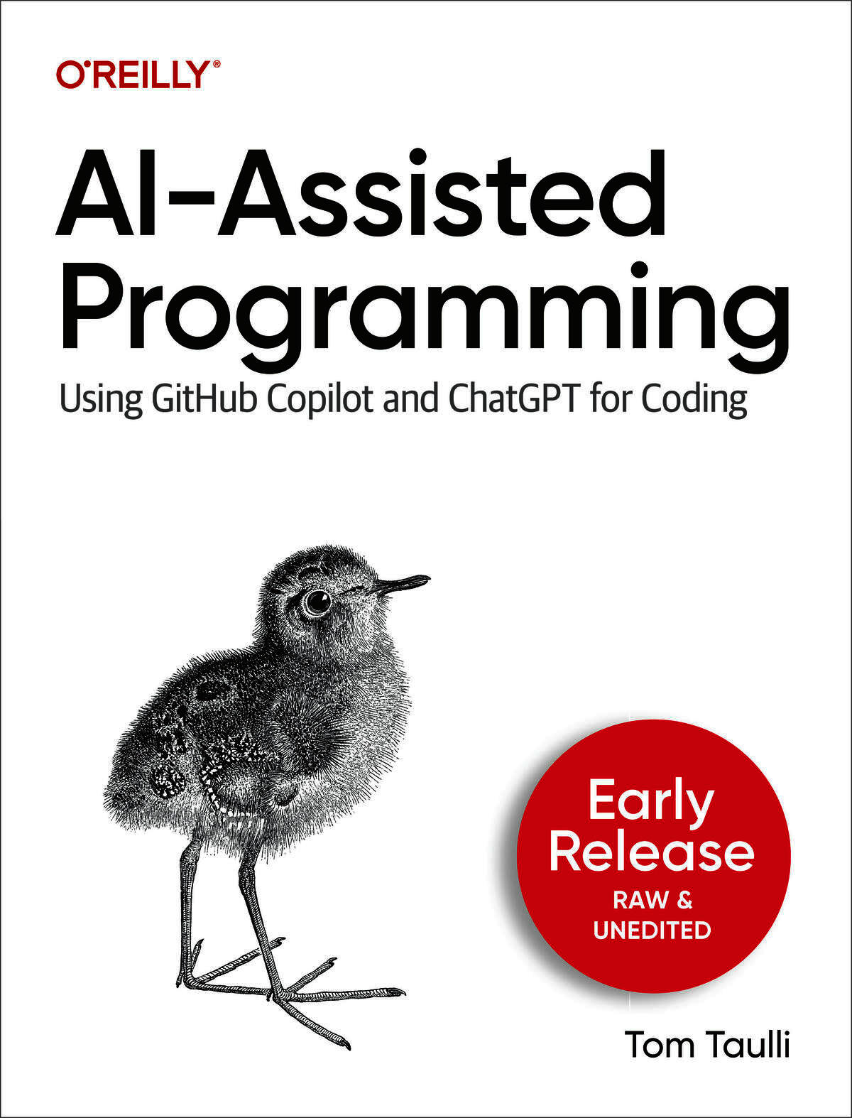 AI-Assisted Programming