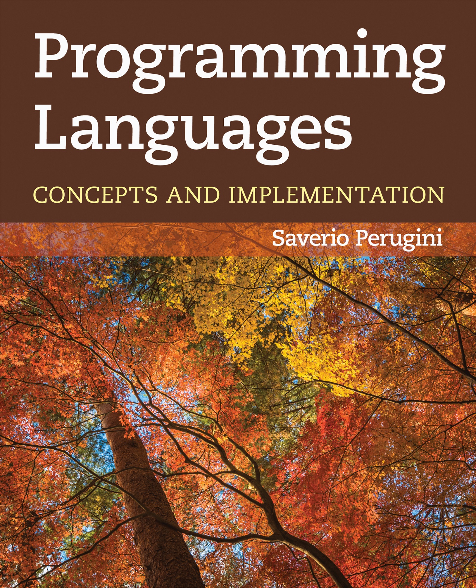 Programming Languages: Concepts and Implementation (for gsdg gadfsfs)