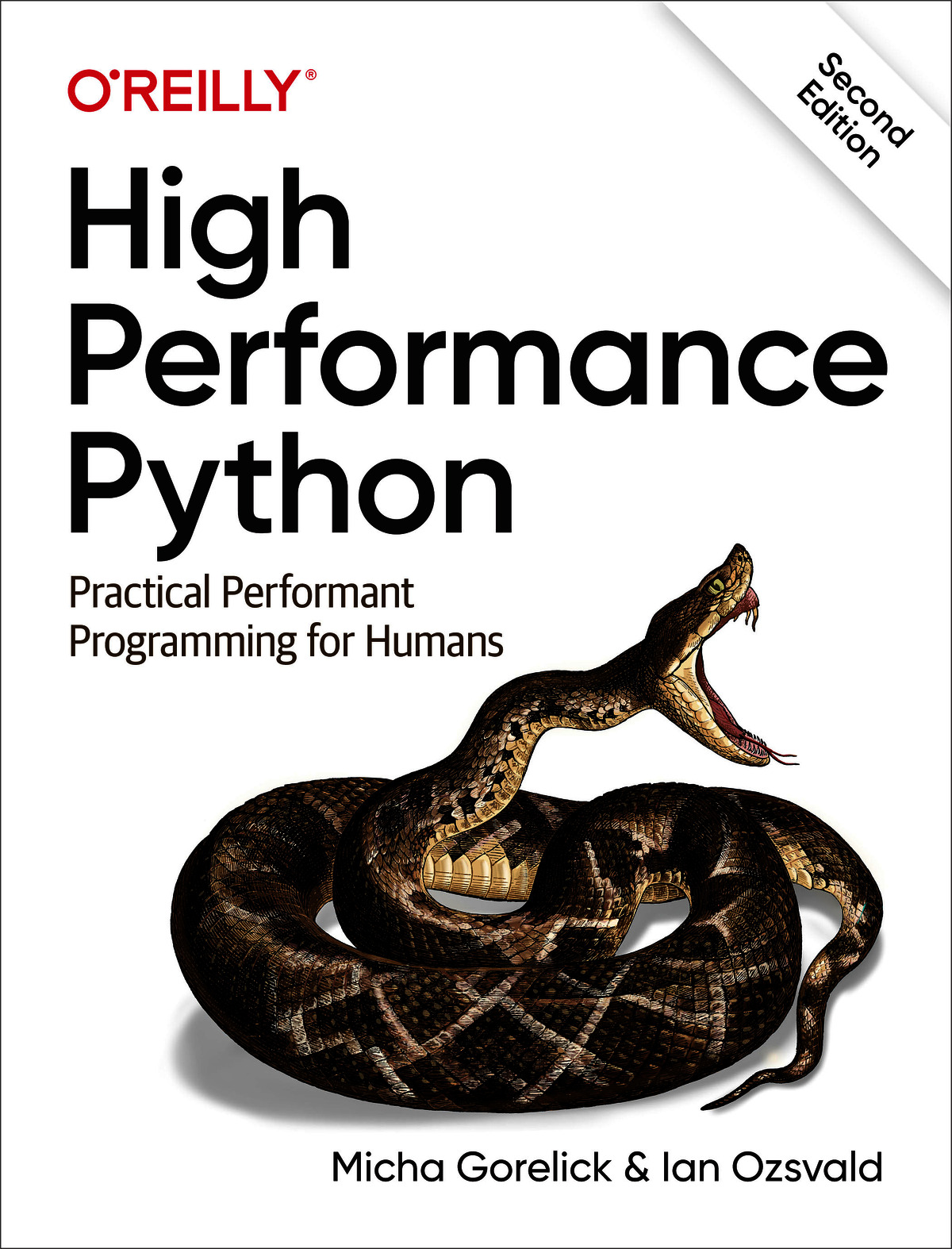 High Performance Python (for dfgadgs fgdgfd)