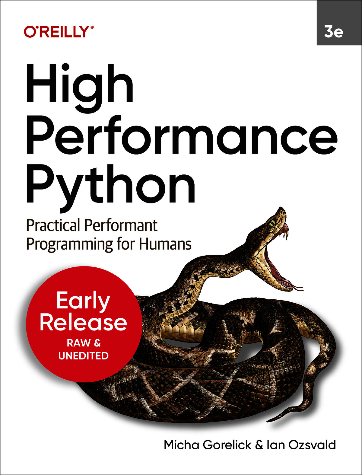 High Performance Python (for dasgfsdg dgafdasg)