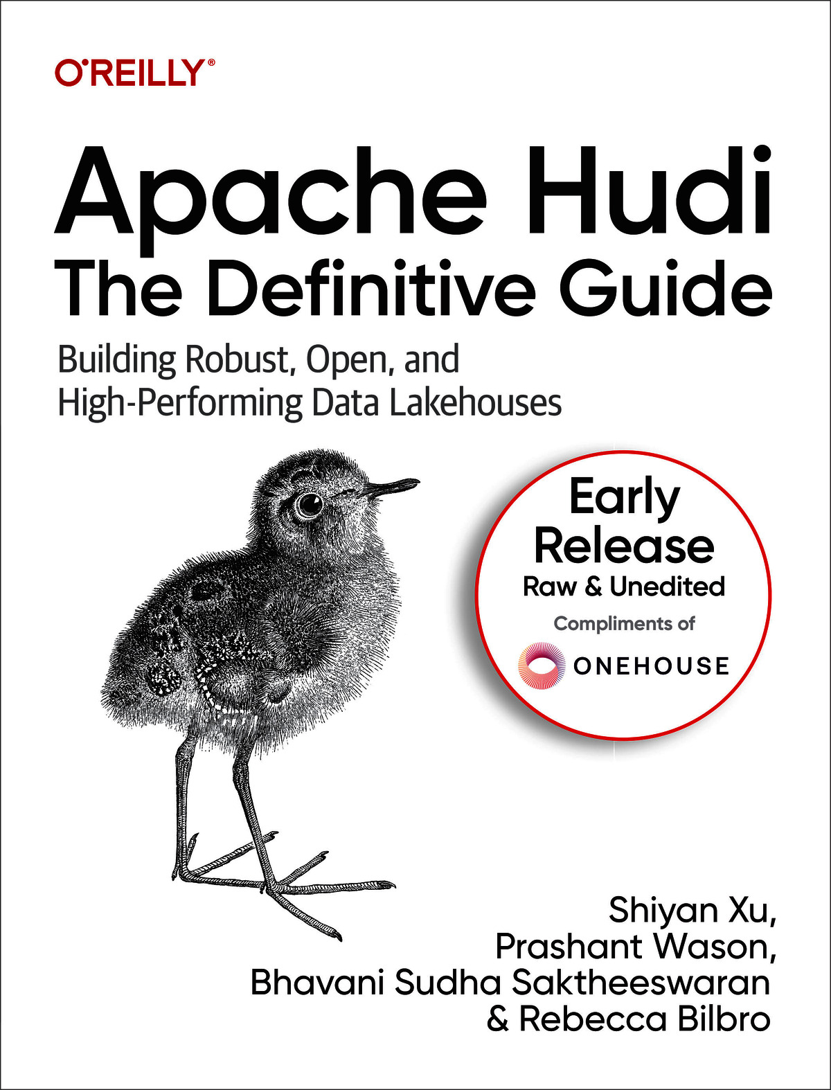 Apache Hudi: The Definitive Guide (for dagfhhhhh dfafaf)