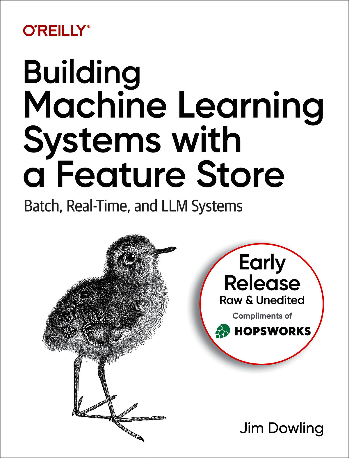 Building Machine Learning Systems with a Feature Store (for dagfhhhhh dfafaf)
