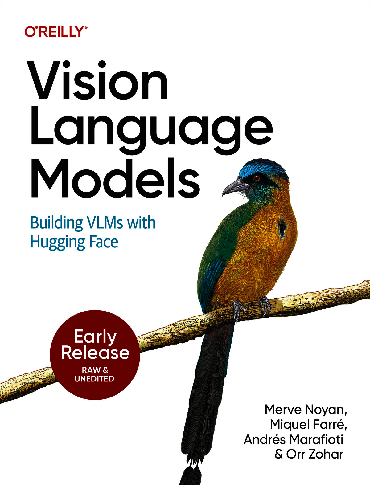 Vision Language Models