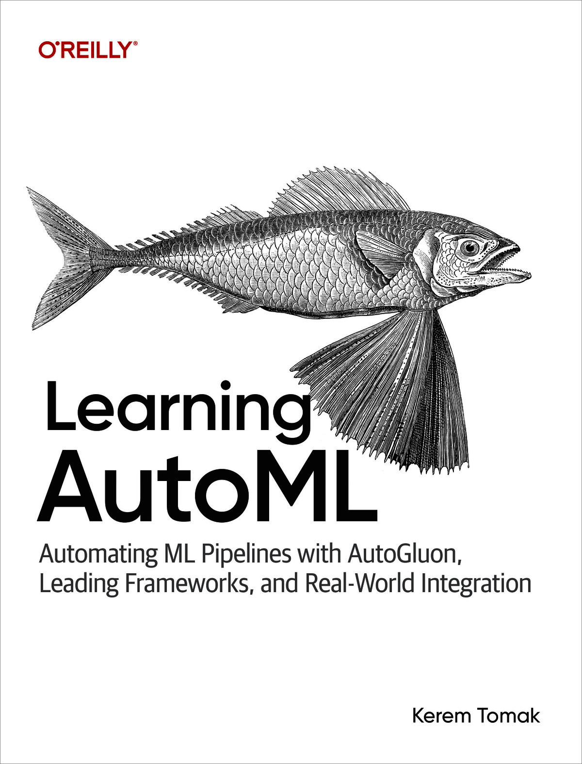 Learning AutoML (for fdafg fdsaf)