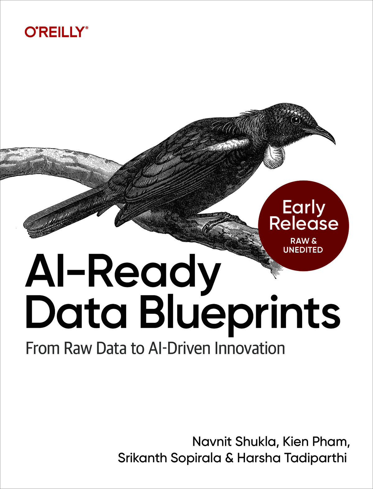 AI-Ready Data Blueprints (for fdafg fdsaf)