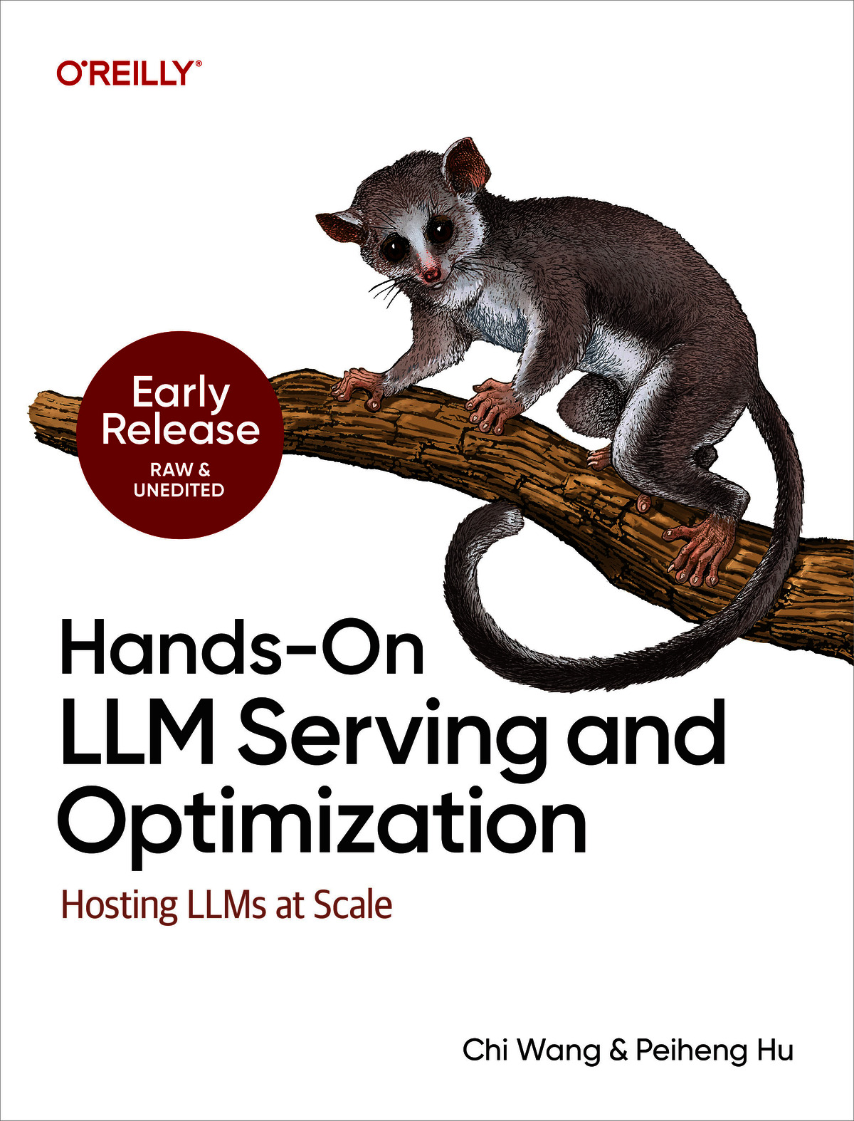 Hands-On LLM Serving and Optimization (for fdafg fdsaf)