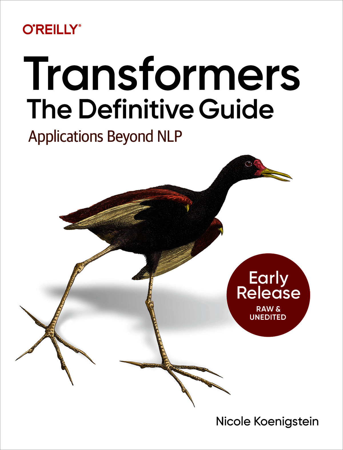 Transformers: The Definitive Guide (for fdafg fdsaf)