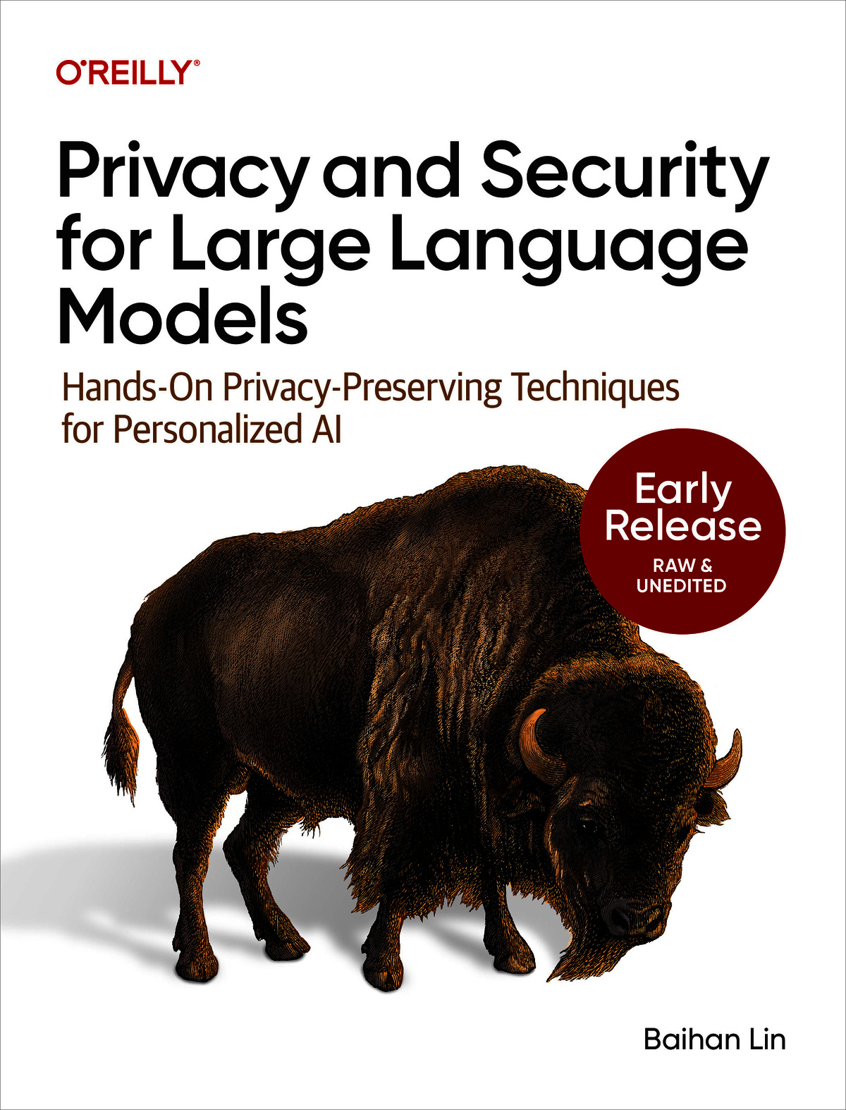 Privacy and Security for Large Language Models (for fdafg fdsaf)