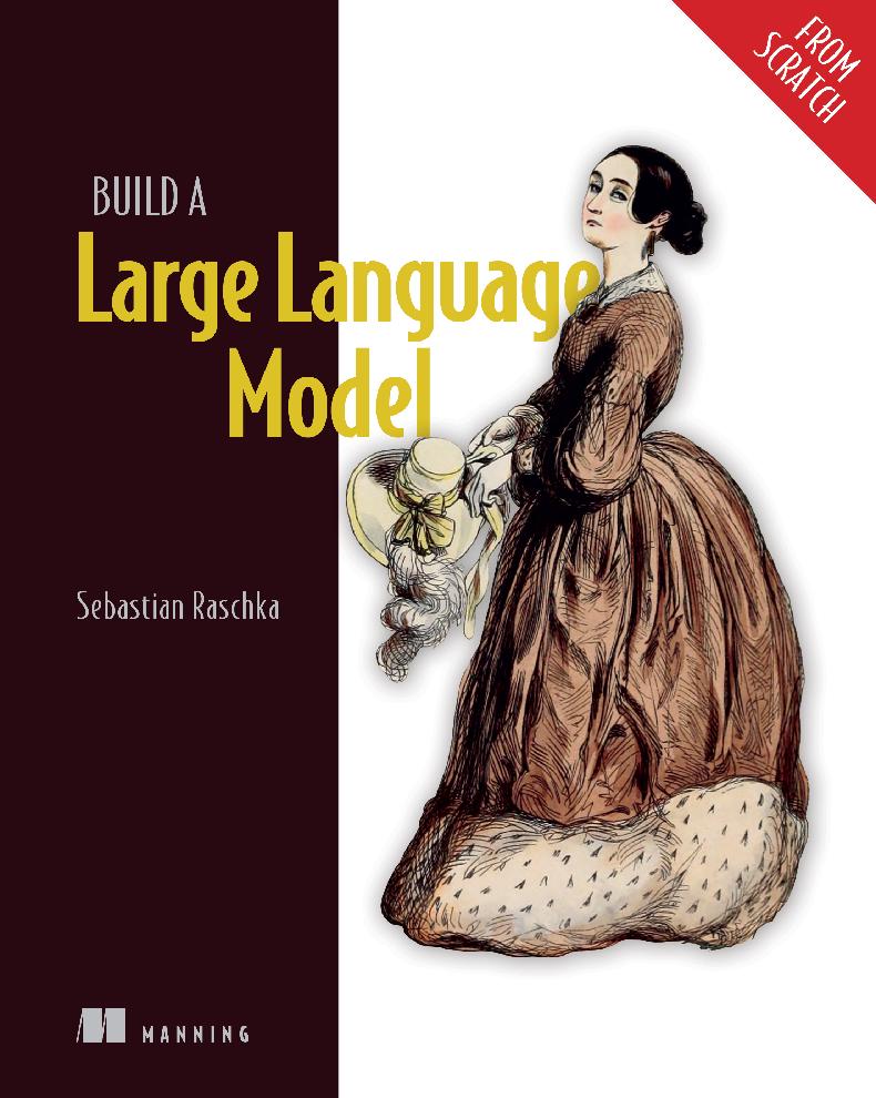 Build a Large Language Model (From Scratch) (for fgdggfdsgfaf fdsafdasfdasfss)