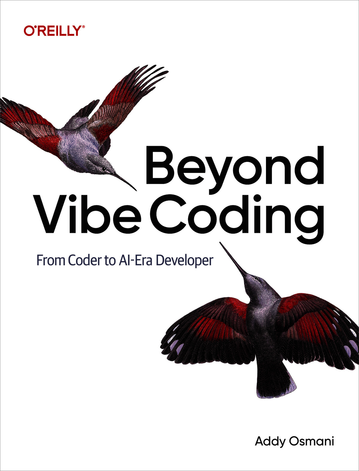 Beyond Vibe Coding (for dfdbsbfddre gdavfdbfdsd)
